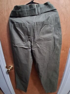 Express Olive Green Cotton Chinos